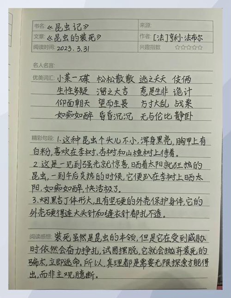 好句积累的重要性及其选购指南